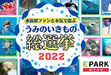 うみのいきもの総選挙2022